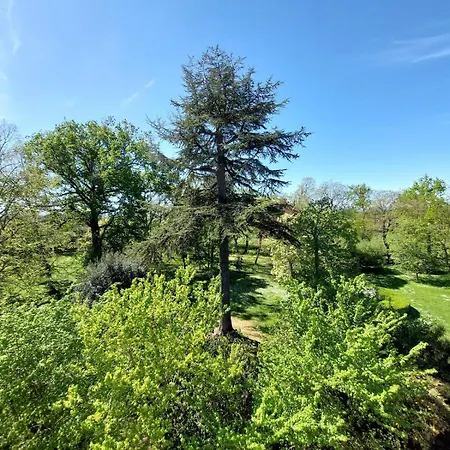 Domaine De L'elysee *