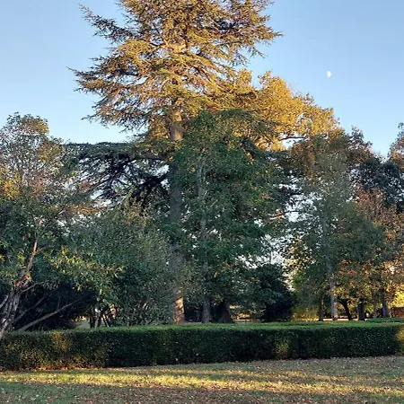 Domaine De L'elysee